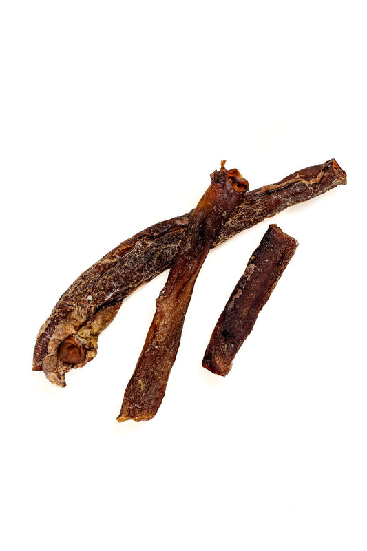 Beef Artery