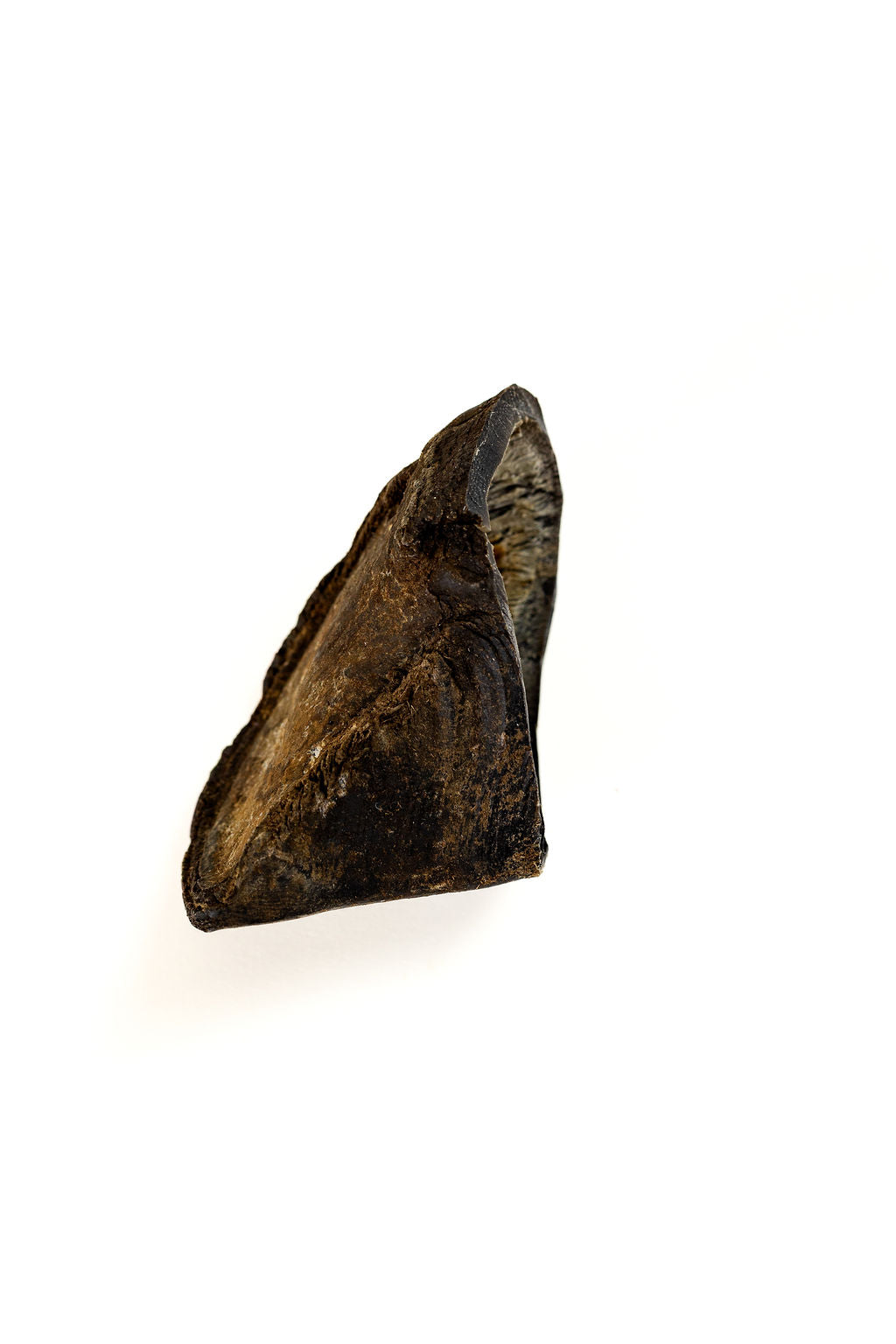 Cow Hoof