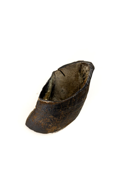 Cow Hoof