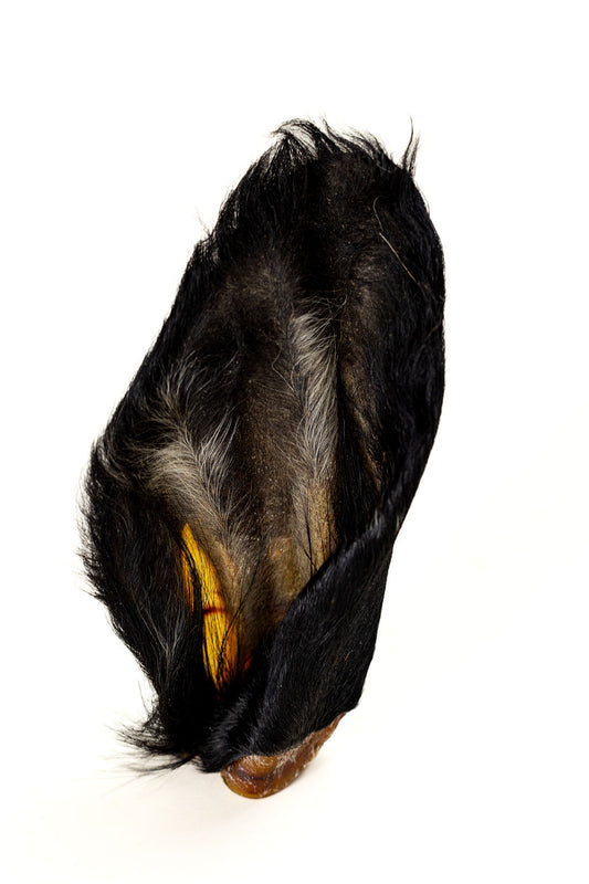 Cow Ear