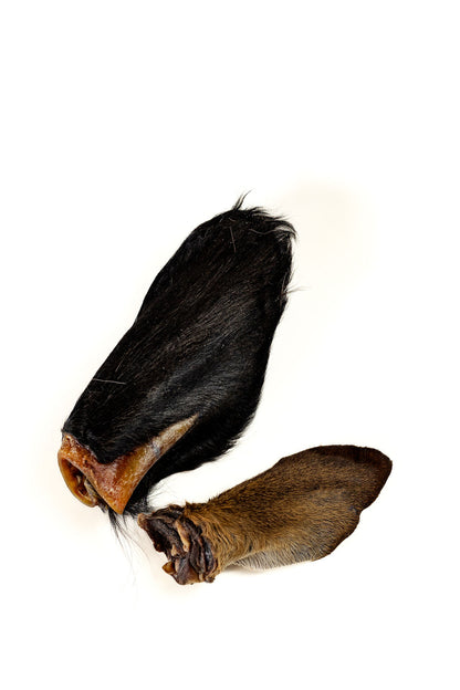 Cow Ear