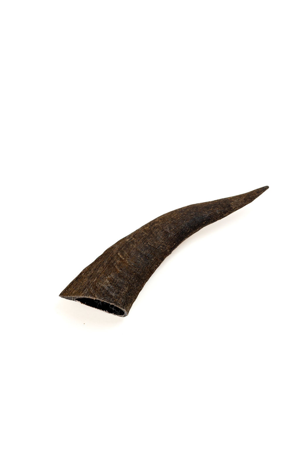 Goat/Sheep Horns