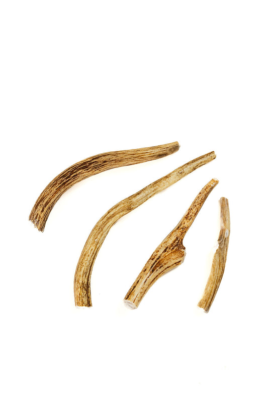 Deer Antler
