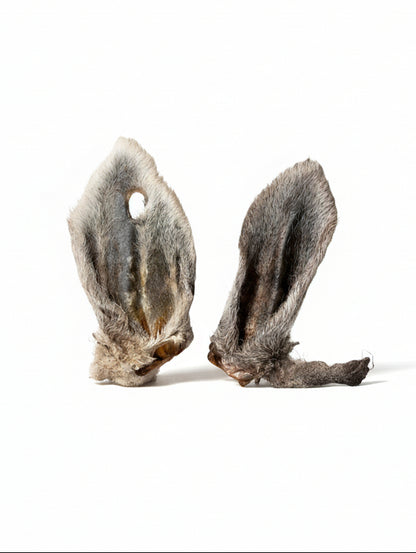 Sheep Ear