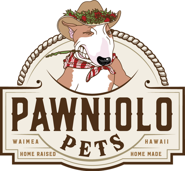 Pawniolo Pets