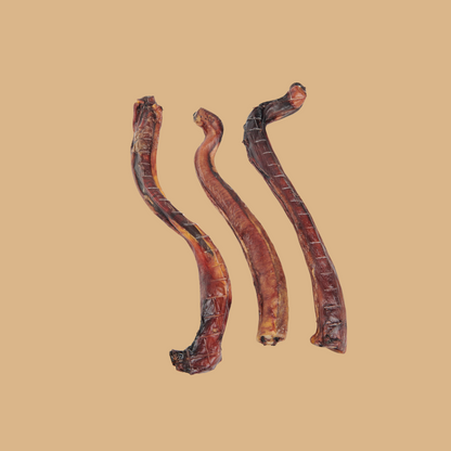 Bully Stick