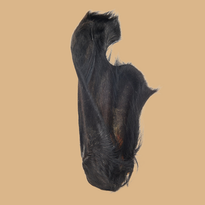 Cow Ear